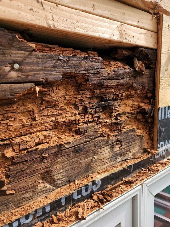 Wood Rot